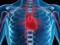 Check Out Five Ways You Can Reduce Heart Attack Risk