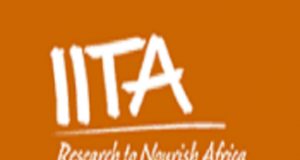 IITA Staff Members Honoured By International Root & Tuber Crops Research Body