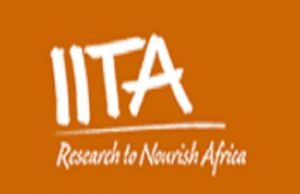 IITA Staff Members Honoured By International Root & Tuber Crops Research Body