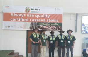 Economically Sustainable Seed Businesses To Transform Cassava Production In Nigeria