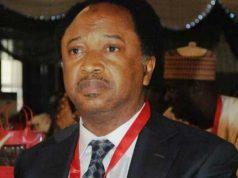 El-Rufai’s Sympathizers Not From Kaduna – Shehu Sani Senator Shehu Sani