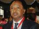 El-Rufai’s Sympathizers Not From Kaduna – Shehu Sani Senator Shehu Sani