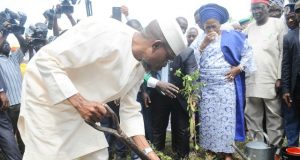 Osun Institutions Ordered By Aregbesola To Plant 60 Trees Osun’s Governor Rauf Aregbesola completing the process of planting one of the 60 trees at 60 Trees for Aregbesola at 60 program organised by the Osun State Broadcasting Corporation (OSBC) Osogbo. Watching him is his Deputy Mrs. Grace Titi-Laoye Tomori and others at the event…