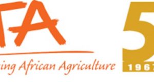 How African Youths Can Be Encouraged To Embrace Agriculture – IITA