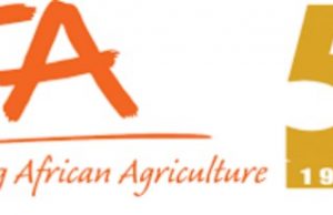 How African Youths Can Be Encouraged To Embrace Agriculture – IITA