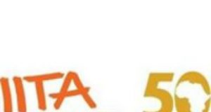 50th Anniversary: IITA Hosts Osinbajo, Obasanjo Gowon, Others On Monday