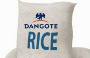 Dangote Tackles Youth Unemployment, Launches Graduate Rice Farming Project Dangote Rice