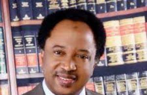 APC Govt Must Stop Herdsmen’s Killings Or Else… – Shehu Sanni Senator Shehu Sanni