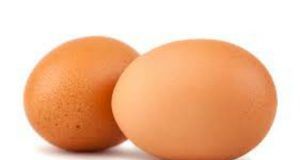 Nutritionists Identify Why School-Age Children Should Eat Two Eggs Daily