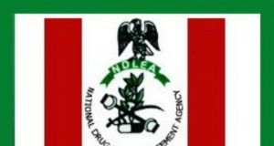 NDLEA Seizes N1.8bn Narcotics In Edo, Arrests 104 Suspects