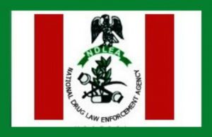 Recruitment Exercise: NDLEA Releases Lists Of Successful Candidates