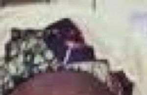 APC Chieftain Dies, Buhari Mourns Hajiya Fati Mohammed...(von.gov.ng image)