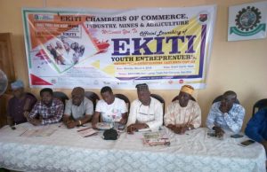 Emerging Young Business Entrepreneurs Shine In Ekiti ...participants at the event in Ekiti State...