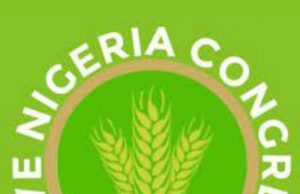 SNC Party Congratulates Makinde, Describes Victory As Symbol Of Perseverance