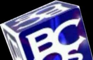 Tunde Ajayi Appointed GM Of BCOS, Oyelade Remains Executive Chairman