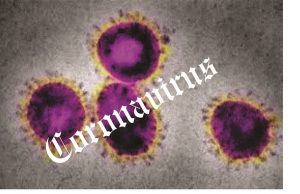 COVID-19: FG Gives School Operators 12 Days To Meet Guidelines Coronavirus