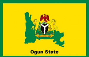 Tragedy Recorded In Ogun As Palm Tree Crushes Farmer To Death Ogun State