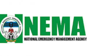 Palliative Measure: NEMA Jumpstarts Rice Distribution To States