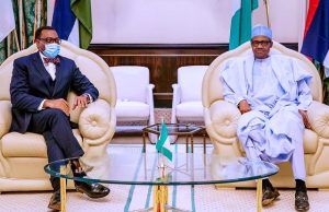 Buhari To Akinwumi Adesina: I’ll Stand By You