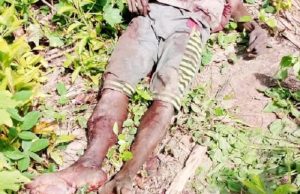 How Three Villagers Were Killed By Suspected Herdsmen In Oyo State