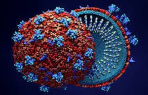 Osun Discharges 11 COVID-19 Patients, Records 17 New Cases coronavirus