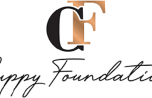 Otedola, 15 Others Receive FIN Awards DJ CUPPY Foundation