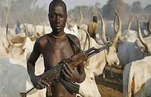 Let’s Embrace National Dialogue To Curb Herders’ Menace- Group ...an unidentified herder...with AK47 gun...