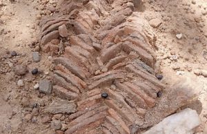 How Potsherd Pavement Was Discovered In Imesi Ekiti