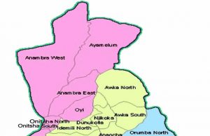 Gubernatorial Poll: Group Urges Ndi Anambra To Vote Right