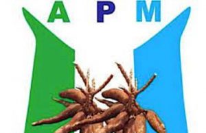 Dearth Of Infrastructures In Osun: APM Launches Attack Against Oyetola