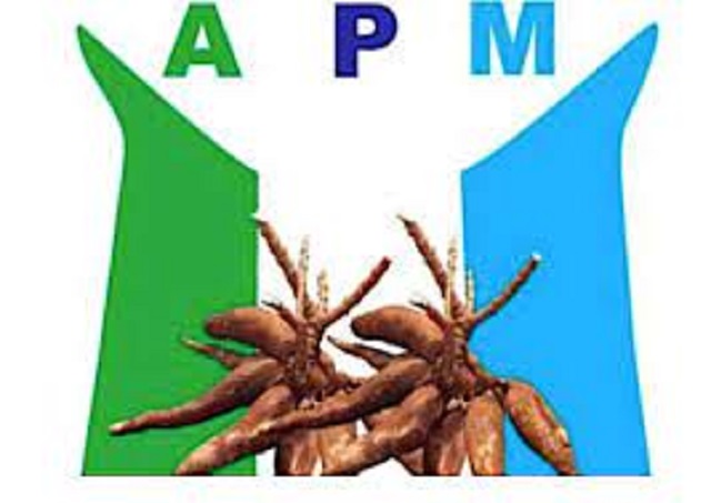 Dearth Of Infrastructures In Osun APM Attacks Oyetola