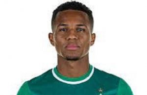 Felix Agu Ready To Dump Germany For Nigeria Felix Agu