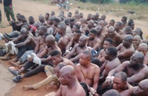 Parties’ Primaries: Suspected Armed Thugs Apprehended At Ekiti Border By Soldiers ...a cross section of the suspected thugs arrested in Ekiti...