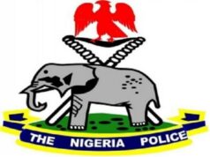 Domestic Dispute: Police Arrest Woman For Stabbing Husband In Yobe police
