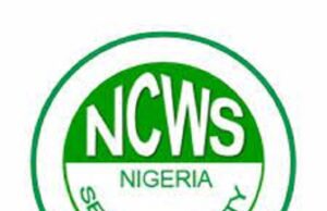 Why Sexual Violence Must Be Eradicated In Our Society– Ogun NCWS