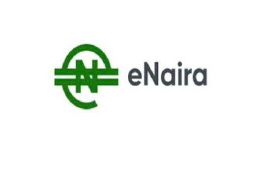 CBN’s Sole Ownership Of eNaira Platform Affirmed By Court