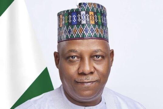Shettima’s Pronouncement: Nigeria Is Now Working Under Tinubu Vice President Kashim Shettima...