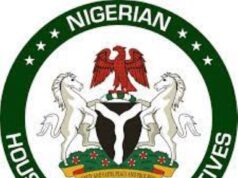 Insecurity In Nigeria: Reps Minority Caucus Demand Solution