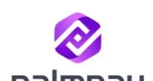 Purple December Campaign Is For Us To Celebrate Our Users – PalmPay