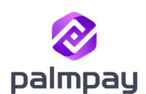 We Are Ready To Drive FG’s Digital Economy – PalmPay