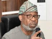 Africa Ready To Set Agenda For Gold, Gemstone Development – Dele Alake Dr. Dele Alake