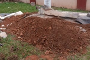 Otunba Abimbola Davisthe graveside