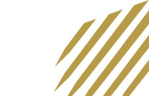 AltBank, Sterling One Foundation, Lagos Foodbank Combat Hunger, Champion Education