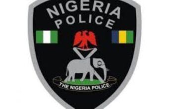 Police To Troublemakers: Steer Clear Of Ekiti Guber Poll Nigeria Police
