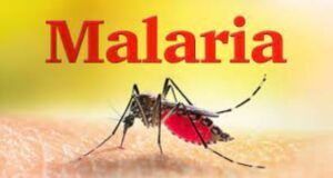 Pharmacists Express Worries Over Increasing Rate Of Incomplete Malaria Treatment