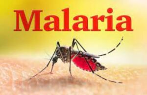 Pharmacists Express Worries Over Increasing Rate Of Incomplete Malaria Treatment