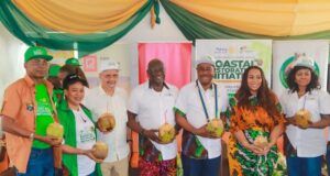 When Rotary International District 9112 Launched Its Coastal Restoration Initiative L-R: Mr Dapo Olakulehim - GM Lagos State Coconut Development Authority (LASCODA), Engr Abiola Kosegbe, Dr Desmond Majekodunmi- Chairman Lufasi Park and DG Coconut Naija, Rtn GOC Bada -Chairman Tree Planting Committee, DG Femi Adenekan + Rotary International District 9112,Ms Channel Scott - Pan African Towers/Azeez Amida Foundation, Rtn Tayo Adenekan @ the 1,000 coconut trees seeding planting project @ Westside Beach, okun Ajah, Lagos. A coastal restoration initiative by Rotary International District 9112…