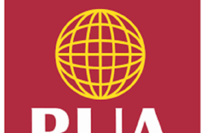 How We Grew Our Revenue By 109% To N1.53tr – BUA Foods