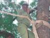 Parents To FG: Scrap NYSC If You Can’t Protect Youth Corps Members ...an NYSC member...proudly serving her country...