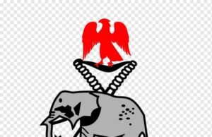 Confusion In Ogun Community As Residents Discover Naked Man Hanging On Tree, Police Begin Investigation